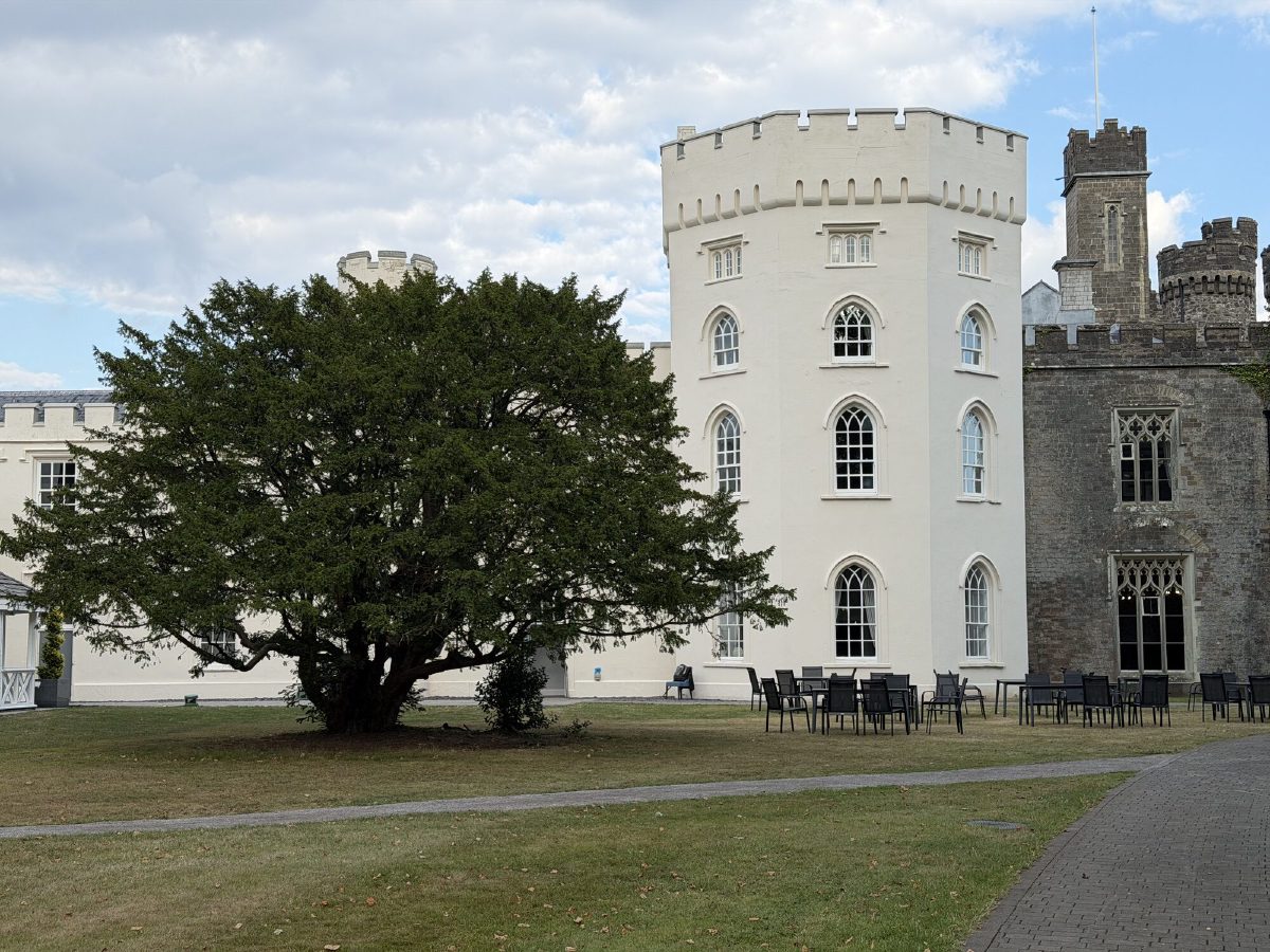 The white tower and the cedar on the front lawn